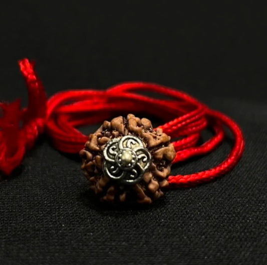 5 Mukhi Nepali Rudraksha - Paanch Mukhi